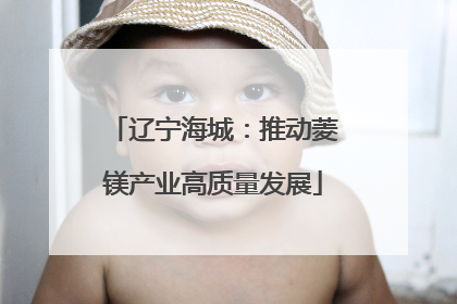 辽宁海城：推动菱镁产业高质量发展