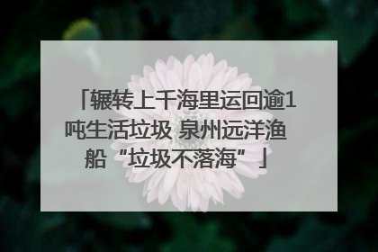 辗转上千海里运回逾1吨生活垃圾 泉州远洋渔船“垃圾不落海”