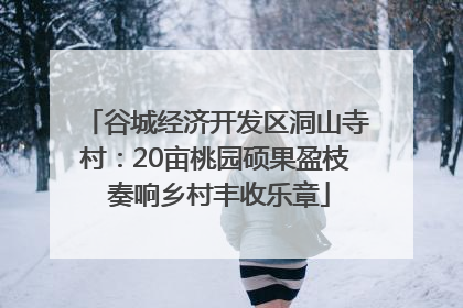 谷城经济开发区洞山寺村：20亩桃园硕果盈枝 奏响乡村丰收乐章
