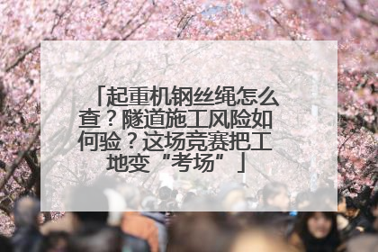 起重机钢丝绳怎么查？隧道施工风险如何验？这场竞赛把工地变“考场”