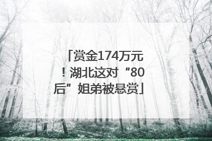 赏金174万元！湖北这对“80后”姐弟被悬赏