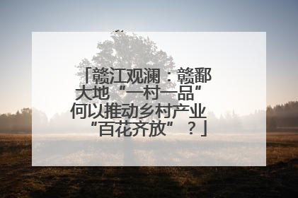赣江观澜：赣鄱大地“一村一品”何以推动乡村产业“百花齐放”？