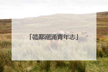 赣鄱潮涌青年志