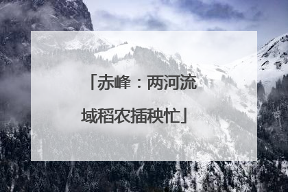 赤峰：两河流域稻农插秧忙