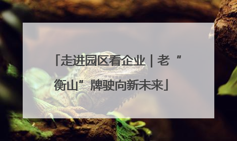 走进园区看企业｜老“衡山”牌驶向新未来