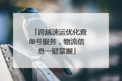 跨越速运优化查单号服务，物流信息一键掌握