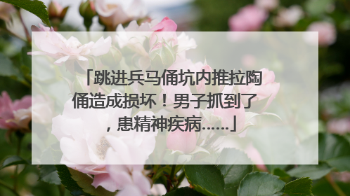 跳进兵马俑坑内推拉陶俑造成损坏！男子抓到了，患精神疾病……