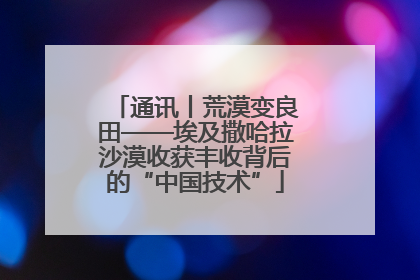 通讯丨荒漠变良田——埃及撒哈拉沙漠收获丰收背后的“中国技术”
