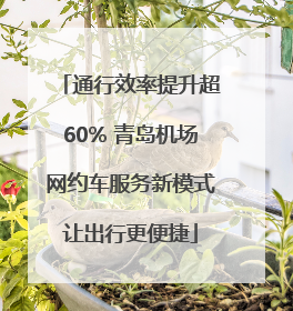 通行效率提升超60% 青岛机场网约车服务新模式让出行更便捷
