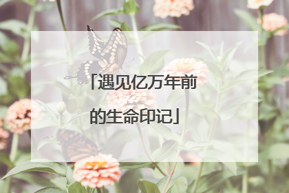 遇见亿万年前的生命印记