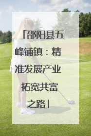 邵阳县五峰铺镇：精准发展产业 拓宽共富之路