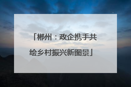 郴州：政企携手共绘乡村振兴新图景