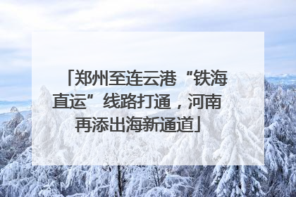 郑州至连云港“铁海直运”线路打通，河南再添出海新通道