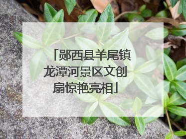 郧西县羊尾镇龙潭河景区文创扇惊艳亮相