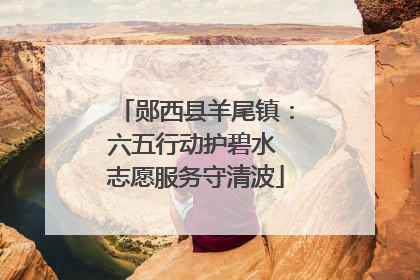 郧西县羊尾镇：六五行动护碧水 志愿服务守清波