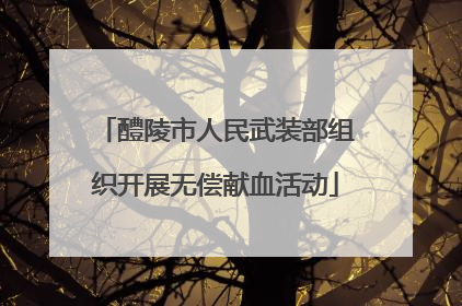 醴陵市人民武装部组织开展无偿献血活动