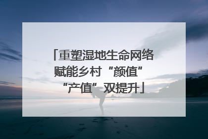 重塑湿地生命网络 赋能乡村“颜值”“产值”双提升