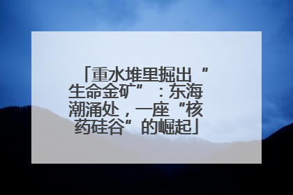 重水堆里掘出“生命金矿”：东海潮涌处，一座“核药硅谷”的崛起