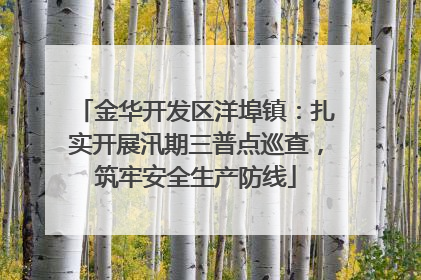 金华开发区洋埠镇：扎实开展汛期三普点巡查，筑牢安全生产防线