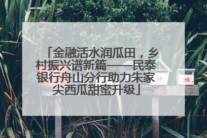 金融活水润瓜田，乡村振兴谱新篇——民泰银行舟山分行助力朱家尖西瓜甜蜜升级