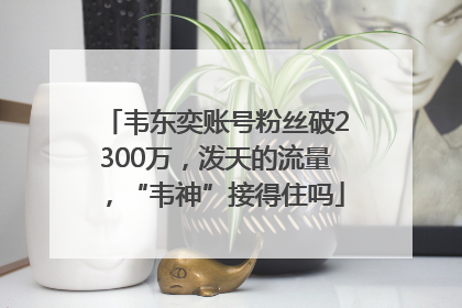 韦东奕账号粉丝破2300万，泼天的流量，“韦神”接得住吗