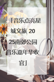 音乐点亮星城文旅 2025南郊公园音乐嘉年华收官