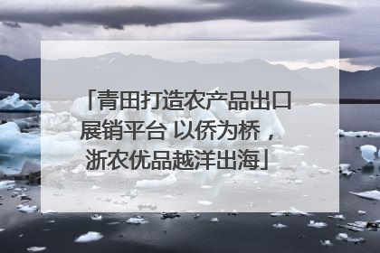 青田打造农产品出口展销平台 以侨为桥，浙农优品越洋出海