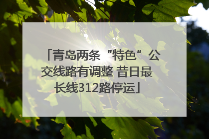 青岛两条“特色”公交线路有调整 昔日最长线312路停运