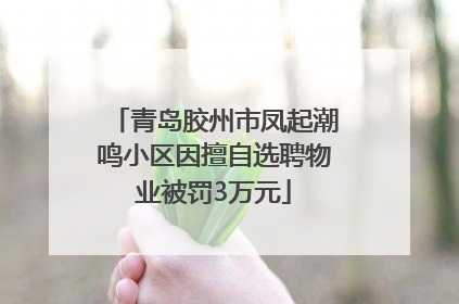 青岛胶州市凤起潮鸣小区因擅自选聘物业被罚3万元