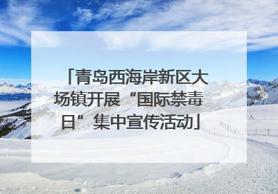 青岛西海岸新区大场镇开展“国际禁毒日”集中宣传活动