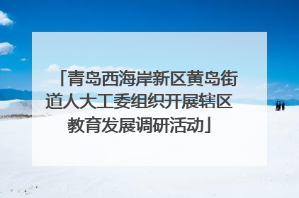 青岛西海岸新区黄岛街道人大工委组织开展辖区教育发展调研活动