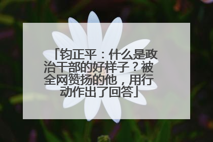 钧正平：什么是政治干部的好样子？被全网赞扬的他，用行动作出了回答