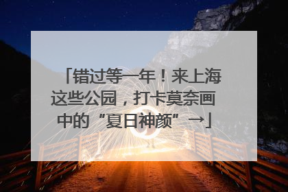 错过等一年！来上海这些公园，打卡莫奈画中的“夏日神颜”→