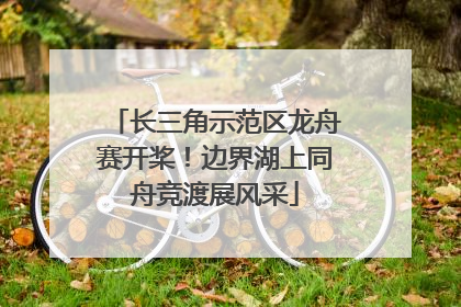 长三角示范区龙舟赛开桨！边界湖上同舟竞渡展风采