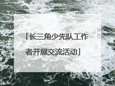 长三角少先队工作者开展交流活动