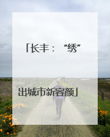长丰：“绣”出城市新容颜