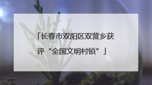 长春市双阳区双营乡获评“全国文明村镇”