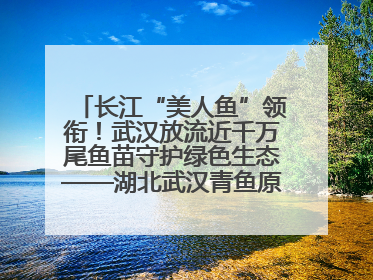 长江“美人鱼”领衔！武汉放流近千万尾鱼苗守护绿色生态——湖北武汉青鱼原种场参加2025年“全国放鱼日”增殖放流活动