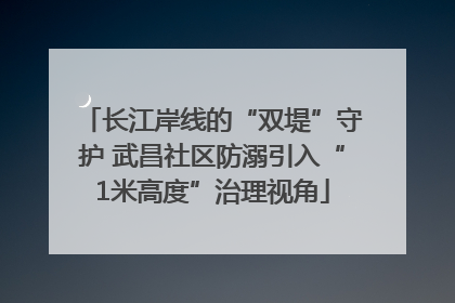 长江岸线的“双堤”守护 武昌社区防溺引入“1米高度”治理视角