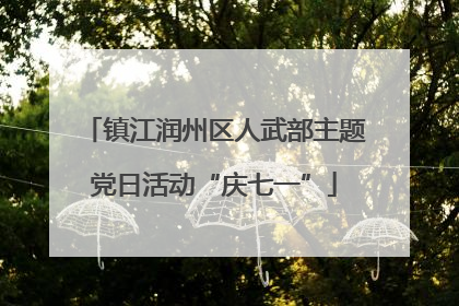 镇江润州区人武部主题党日活动“庆七一”