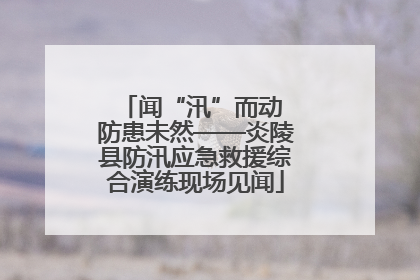 闻“汛”而动 防患未然——炎陵县防汛应急救援综合演练现场见闻
