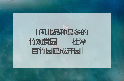 闽北品种最多的竹观赏园——杜潭百竹园建成开园