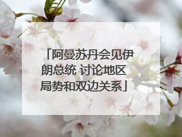 阿曼苏丹会见伊朗总统 讨论地区局势和双边关系