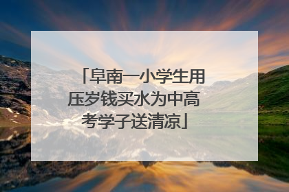 阜南一小学生用压岁钱买水为中高考学子送清凉
