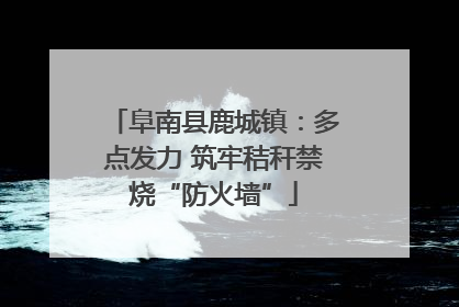 阜南县鹿城镇：多点发力 筑牢秸秆禁烧“防火墙”