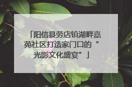 阳信县劳店镇湖畔嘉苑社区打造家门口的“光影文化盛宴”