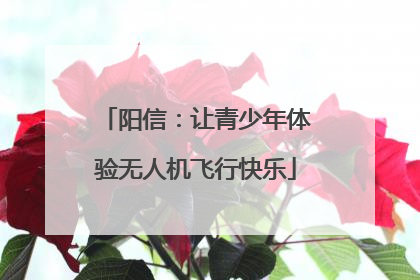 阳信：让青少年体验无人机飞行快乐