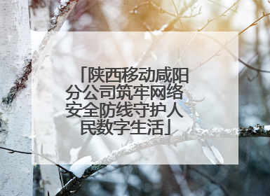 陕西移动咸阳分公司筑牢网络安全防线守护人民数字生活