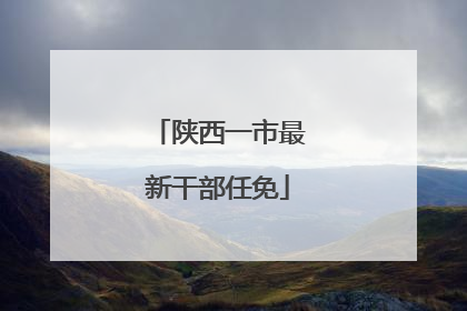 陕西一市最新干部任免