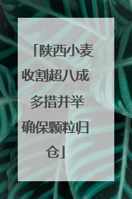 陕西小麦收割超八成 多措并举确保颗粒归仓